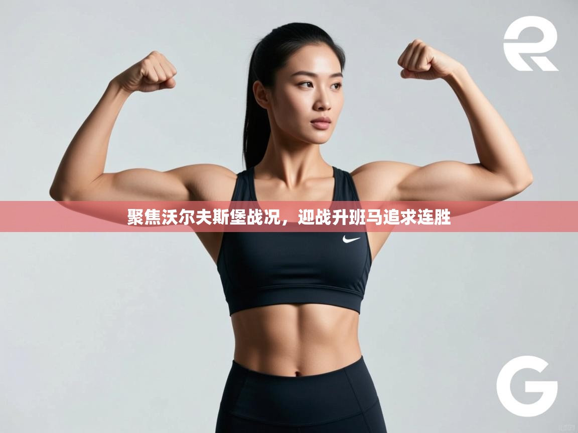 聚焦沃尔夫斯堡战况，迎战升班马追求连胜  第1张