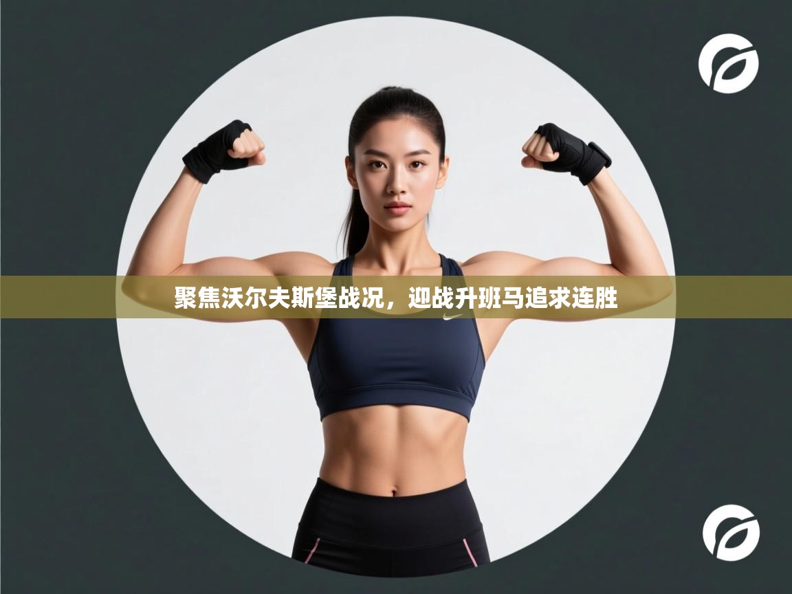 聚焦沃尔夫斯堡战况，迎战升班马追求连胜  第2张