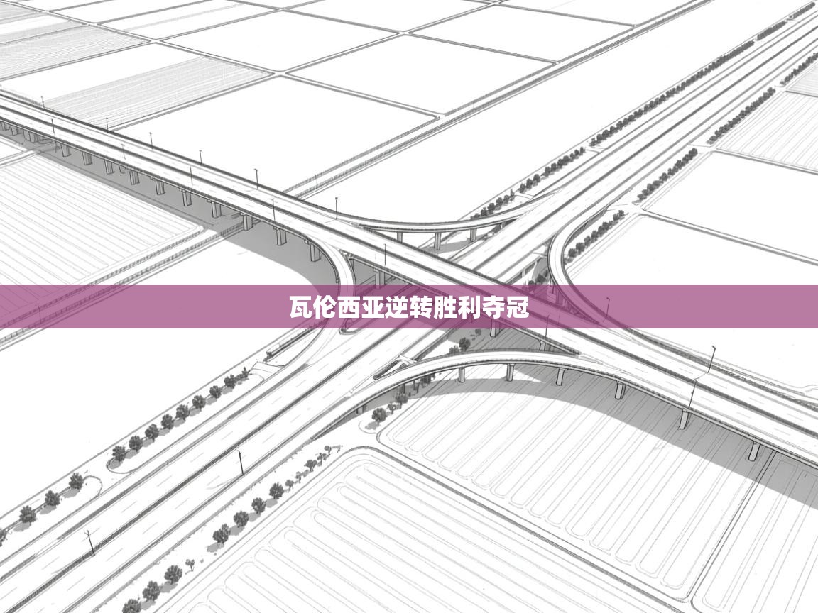 瓦伦西亚逆转胜利夺冠  第1张