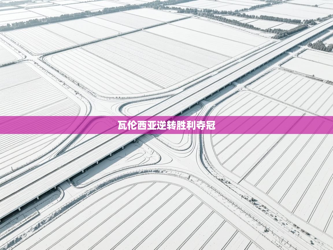 瓦伦西亚逆转胜利夺冠  第2张