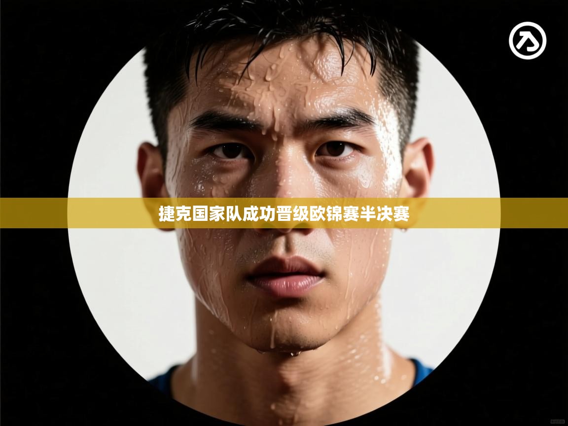 捷克国家队成功晋级欧锦赛半决赛 第2张