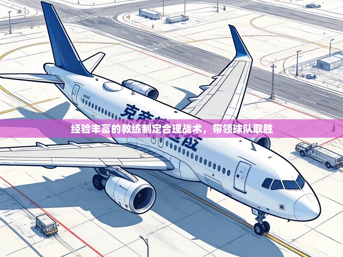 经验丰富的教练制定合理战术，带领球队取胜  第2张